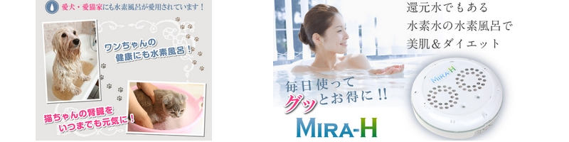 ���f���CMIRA-H�~���G�C�`���T�C�g